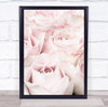 Pink Roses 05 Rose Flower Florals Studio Wall Art Print