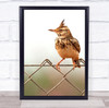 Bird With Mohawk Perched On Wired Fence Wall Art Print