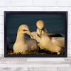 Gift For You Two Birds Feather In Mouth Wall Art Print