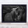 Love Human And Elephants Close Together Wall Art Print
