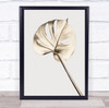 Monstera Gold 05 Leaf Botanical Studio Wall Art Print