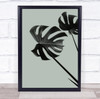 Monstera Teal 09 Studio Botanical Leaf Wall Art Print