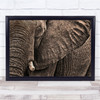Wrinkles Elephant Kruger Skin Wildlife Wall Art Print