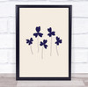 Blue Sorrel Floral Plant Illustration Wall Art Print