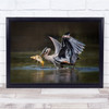 Birds Of Prey Wings Out Caught Fish Wall Art Print