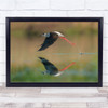 Reflection Bird Flying Out Of Water Wall Art Print