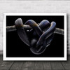 Dark Evil Snake Wrap Around Branch Wall Art Print