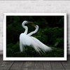 Love Birds Heron Florida Greenland Wall Art Print
