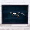 Seagull Flying With Fish In Beak Wall Art Print
