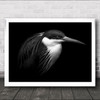 The Heron Bird Dark Animal Beak Wall Art Print