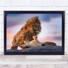 Wild Love Lion Sunset Lioness Wall Art Print