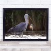Large Bird Dropping Fish Wall Art Print