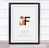 New Baby Birth Details Christening Nursery Initial F Fox Keepsake Gift Print