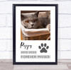 Pet Loss Memorial Forever Missed Paw Print Photo Personalized Gift Art Print