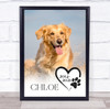 Full Photo Pet Memorial Name & Date Dog Cat Personalized Wall Art Gift Print