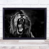Roar Yawn Fangs Mouth Teeth Tongue Lion Wildlife Black & White Feline Wild Print