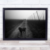 Everyday Black White Black White Dog Captive Empty Field Alone Lonely Man Print