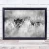 Lion Africa Safari Wildlife Wild Nature Animal Animals Gaze Black & White Print