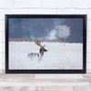Animal Winter Deer Nature Landscape Antlers Frost Wildlife Field Wall Art Print