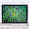Fish Anemone Underwater Clownfish Green Hide Hiding Cover Hidden Wall Art Print