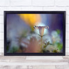 Flower Flora Floral Macro Bokeh Water Drop Droplet Soft Delicate Wall Art Print