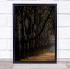 Man Walk Walking Trees Park Autumn Fall Landscape Light Untitled Wall Art Print