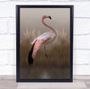 Painterly Portraits Portrait Full Body No People Person flamingo Wall Art Print