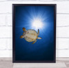 Turtle Underwater Green Reunion Island Chelonia France Deep Swim Wall Art Print