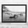Water Guroymak Bitlis Turkey Hot Spring Steam Horse Horses Black & White Print