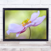 Anemone Pink Summer Flower Floral Flora Macro Close Up Japanese Wall Art Print