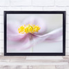 Anemone Windflower Summer Flower Garden Floral Flora Macro Pink Wall Art Print