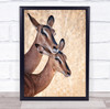 Animals Wildlife Wild Bokeh Love Couple Pair Friends Friendship Wall Art Print