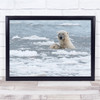 Bear Arctic Alaska Wildlife Animal Cub Water Mother Polar Bears Wall Art Print