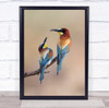 Bee-Eater Birds Bee Eater Eaters Bee-Eaters Bird Animal Animals Wall Art Print