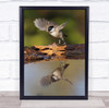 Bird Birds Reflection Leaf Autumn Fall Wings Wing Wildlife Wild Wall Art Print
