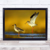 Bird Nature Wildlife Wild Animals Birds Animal Bokeh Dance With Wall Art Print
