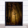 Forest Woods Trees Light Landscape Glade Gold Golden Rays Magic Wall Art Print