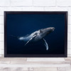 Whale Humpback Baleine Bosses Underwater Deep Majestic Big Huge Wall Art Print
