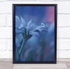 Bulgaria Pearl Drop Droplet Water Flower Pastel Colours Garden Wall Art Print