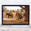 Elephant Elephants Africa Safari Savannah Wildlife Wild Nature Wall Art Print