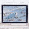 Wildlife Wild Nature Animal Animals Fox Foxes Arctic Snow Cold Wall Art Print