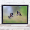 Wildlife Animals Nature Birds Transfers Flock Wall Art Print - PETTEX1700328