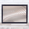 Architecture Abstract Lines Pattern Geometry Calatrava Oculus Wall Art Print