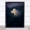 Egret Great Egrets Feather Feathers Wildlife Wild Nature Bird Wall Art Print