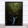 Forest Australia Green Woods Long Exposure River Flow Flowing Wall Art Print