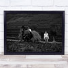 Horse hay Painted Face Painting Paint Body Rural Countryside Wall Art Print