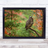 Owl Forest Wildlife Wild Nature Animals Branch Sitting Bokeh Wall Art Print