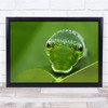 Snake Wildlife Macro Predator Animal Danger Dangerous Poison Wall Art Print