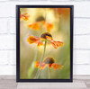 Summer Garden Flower Floral Flora Helenium Sneezeweed Orange Wall Art Print