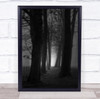 Forest path Trees moody Natural Landscape Rainy Dark black and white Print